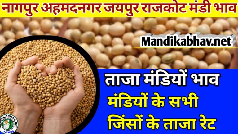 Jaipur Nagpur rajkot Nagpur mandi Ka Bhav