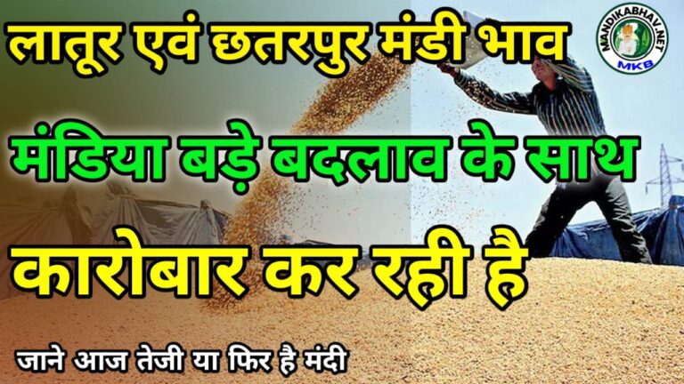 Latur And Chhatarpura mandi update लातूर और छतरपुरा मंडी का ताजा भाव !