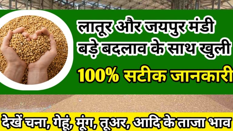 Latur And Jaipur ka Bhav जयपुर और लातुर मंडी का ताजा भाव !