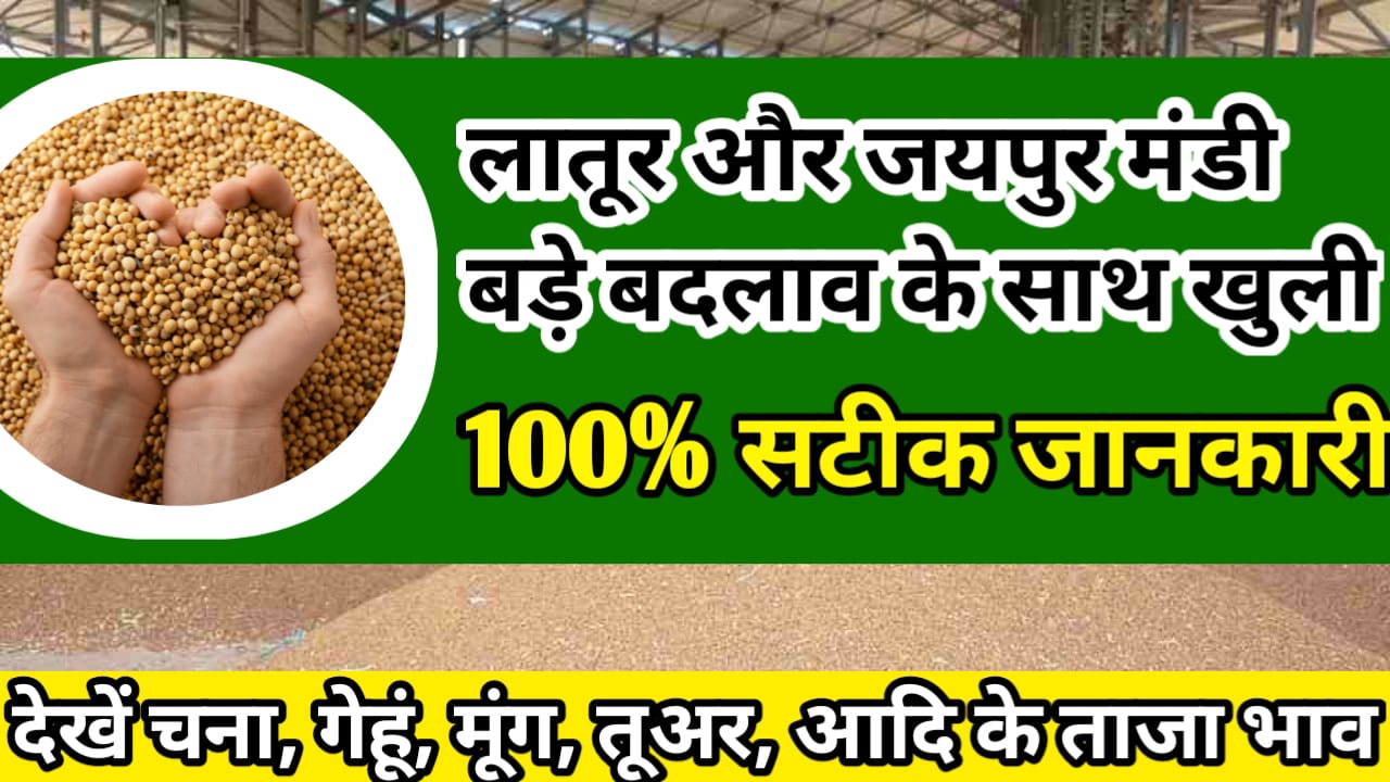 Latur And Jaipur ka Bhav जयपुर और लातुर मंडी का ताजा भाव !