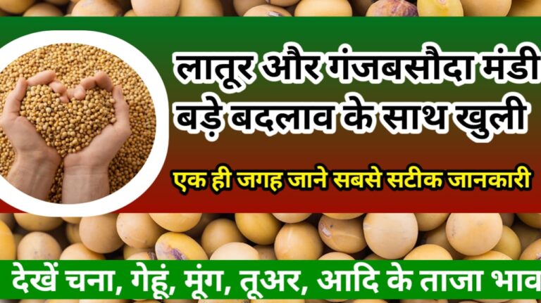 Latur and ganajabasoda ka Bhav  लातूर और गंजबासौदा मंडी में क्या चल रही है स्थिति जाने !