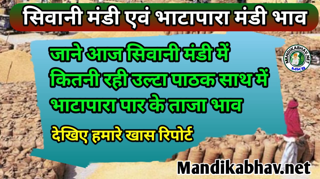 Mandi Bhav