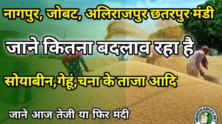 Nagpur jobat alirajpur mandi ka bhav  देख आज मंडियो में तुवर चना गेहूं सोयाबीन क्या रुक दिख रहा है