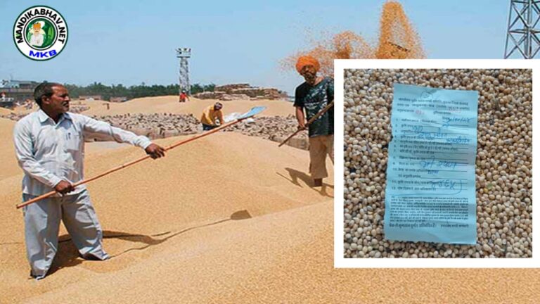 Onion garlic Mandi Price