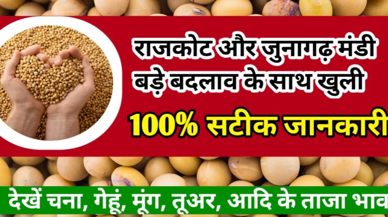 Rajkot and Junagarh mandi Bhav राजकोट जूनागढ़ मंडी के ताजा भाव !