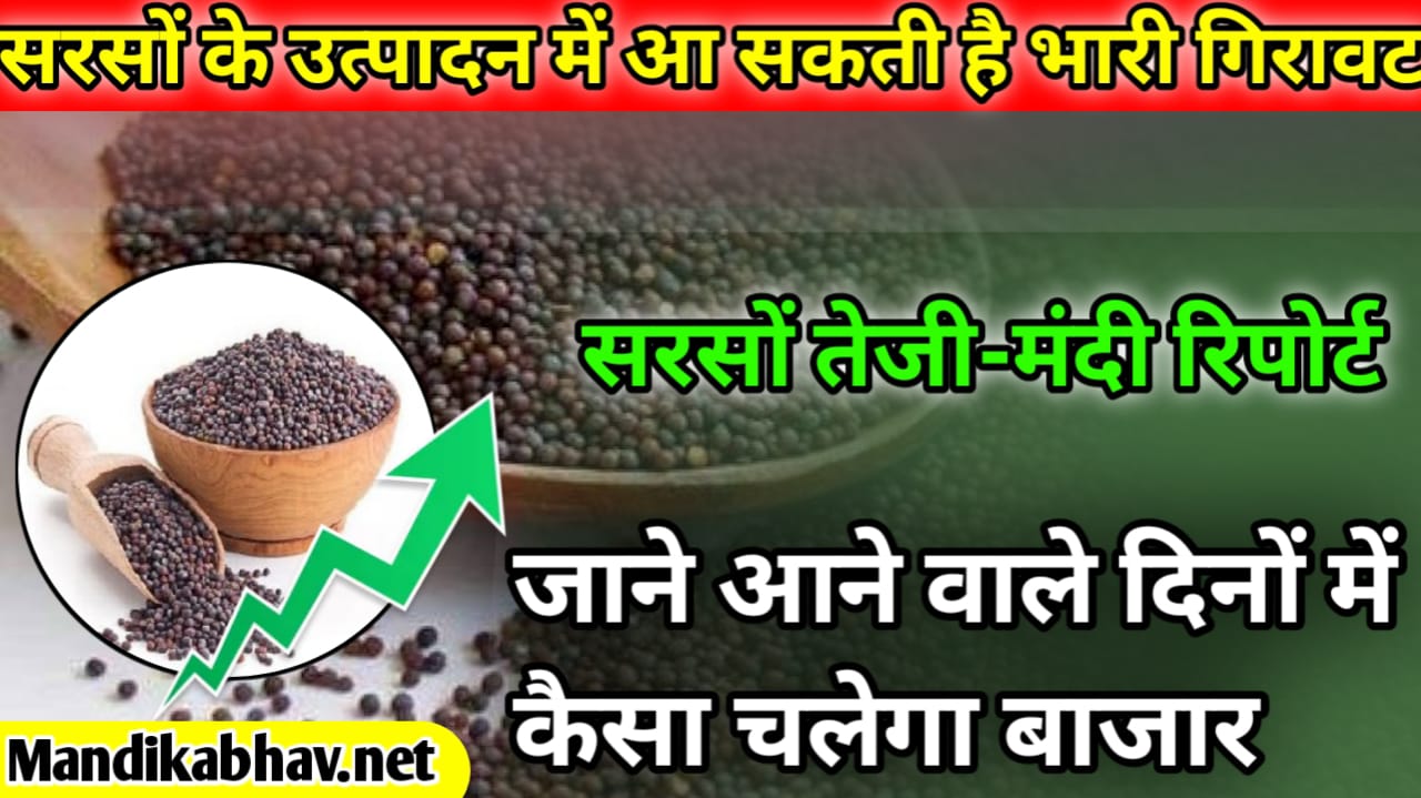 Sarso Bhav Report