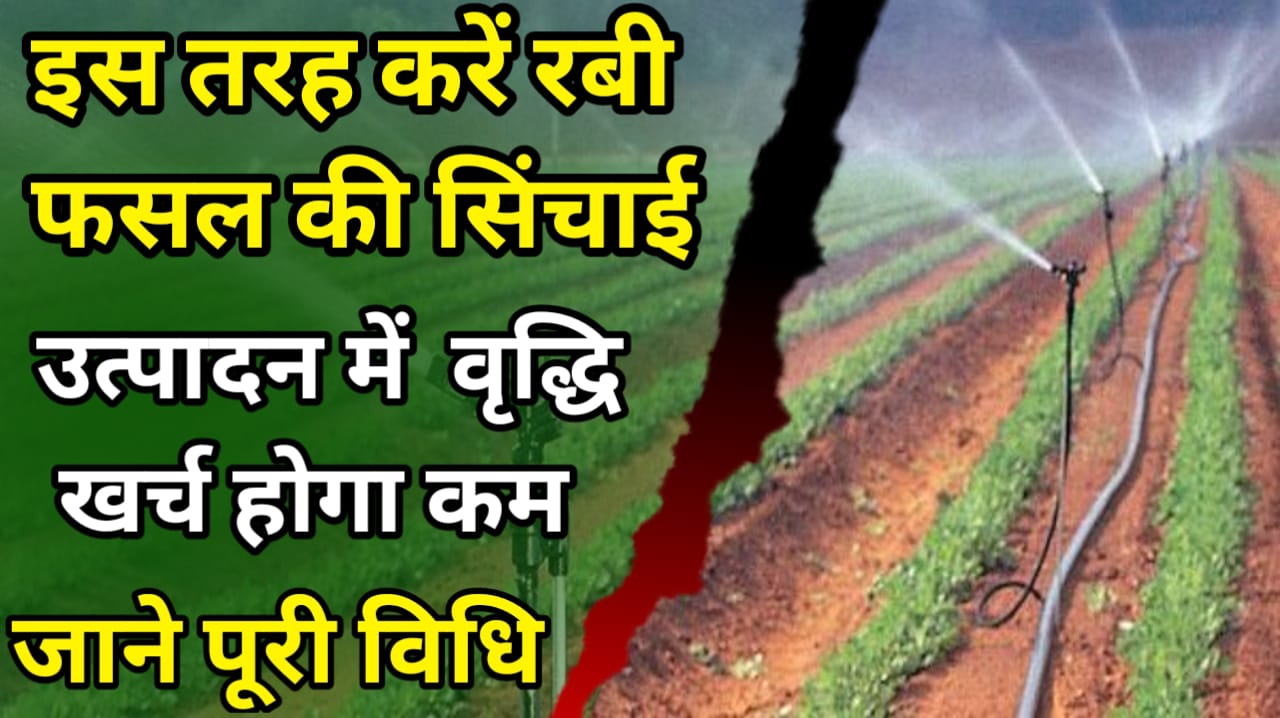 Sichayi Vidhi सिंचाई की ऐसी विधि जो आपकी फसल के उत्पादन में रिकॉर्ड तोड़ दुगना उत्पादन देगी !