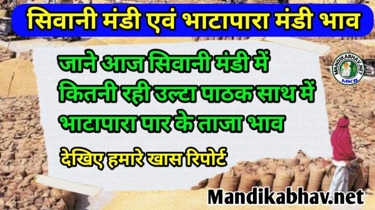 Sivani Bhatpara Mandi Ka Bhav सिवानी और भाटपार मंडी में आज गेहूं मूंग और सभी जिंसों में क्या खुला बाजार !