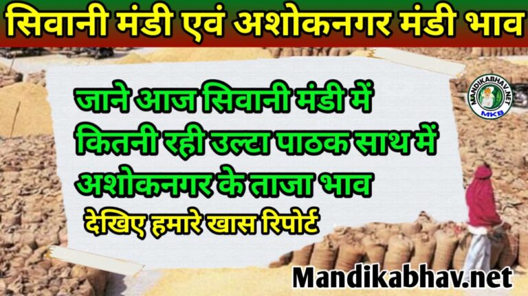 Sivani and Ashoknagar Mandi update शिवानी और अशोक नगर मंडी में आज क्या है माहौल !