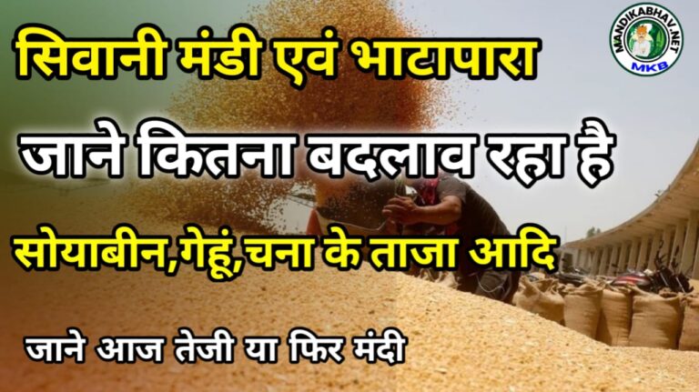 Sivani and Bhatapara mandi Bhav सिवानी और भाटापारा में कृषि उत्पादों की कीमतें और आवक की जानकारी !