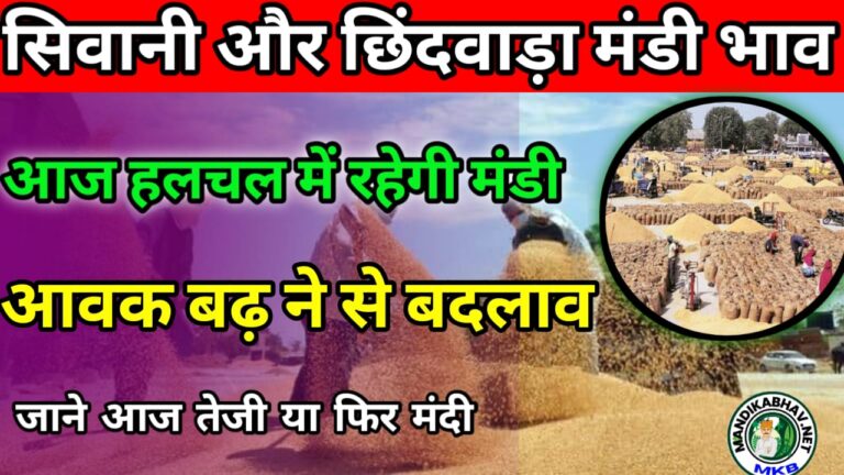 Siwani Mandi and Chhindwara Mandi latest price