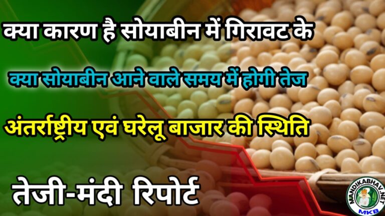 Soyabean Bhav Report सोयाबीन में किस दिन से आएगी तेजी जाने इस रिपोर्ट में !