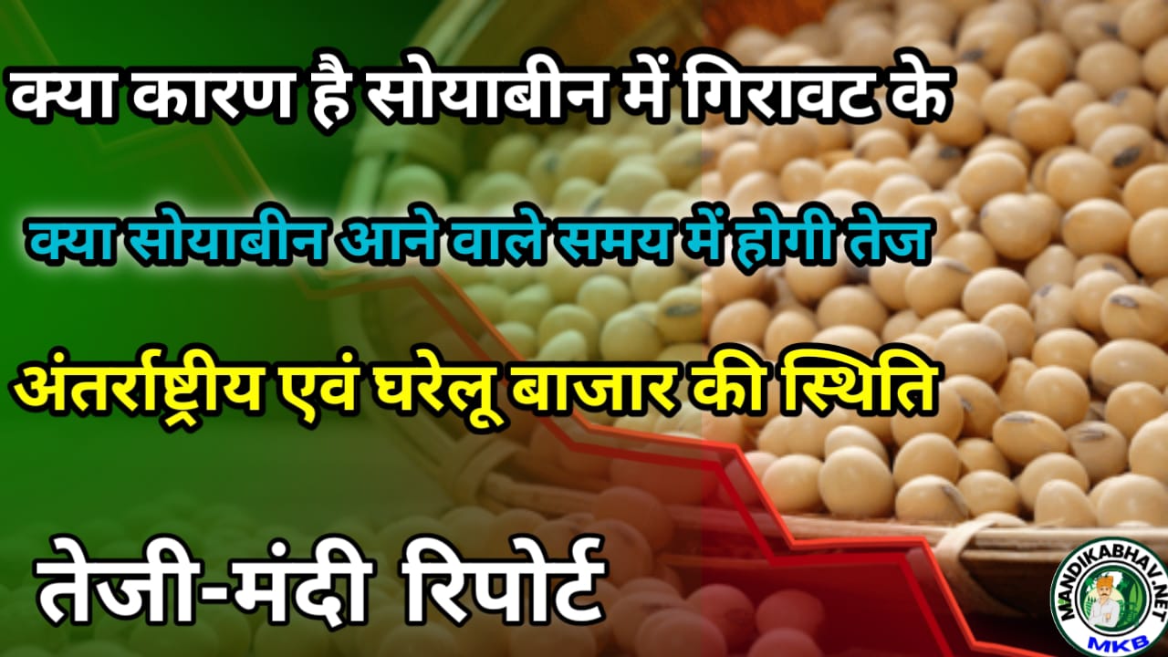 Soyabean Bhav Report सोयाबीन में किस दिन से आएगी तेजी जाने इस रिपोर्ट में !