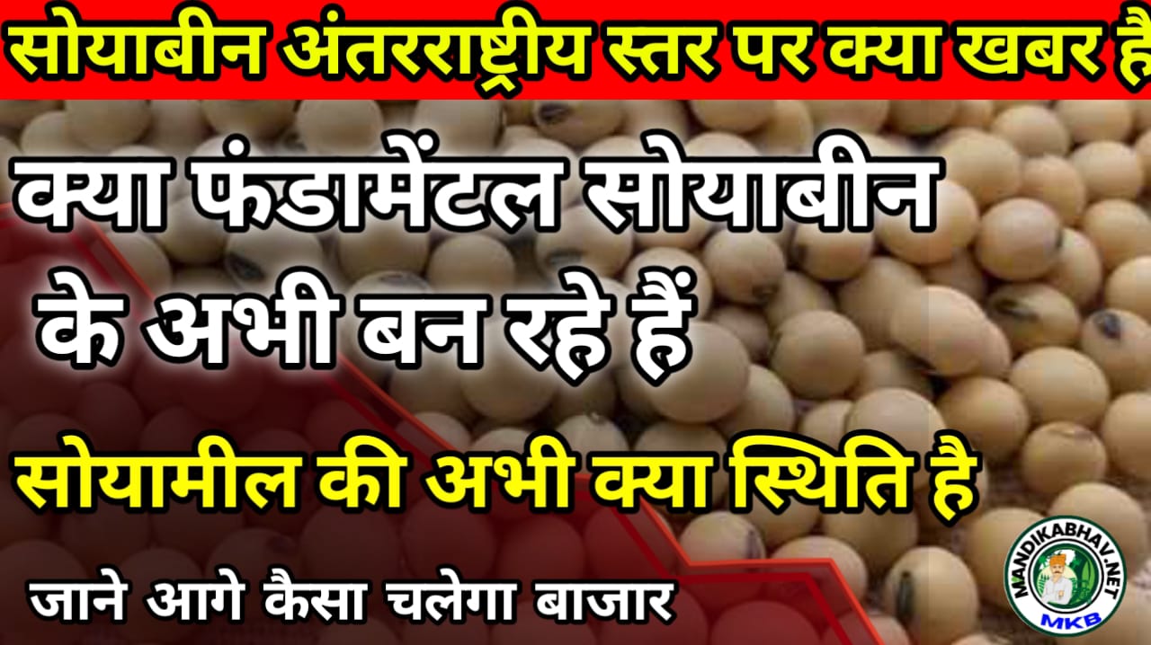 Soyabean Bhav Report