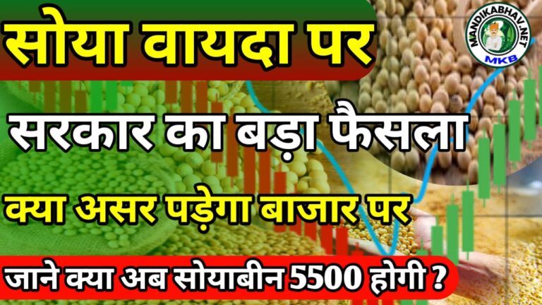 Soyabean Breaking News