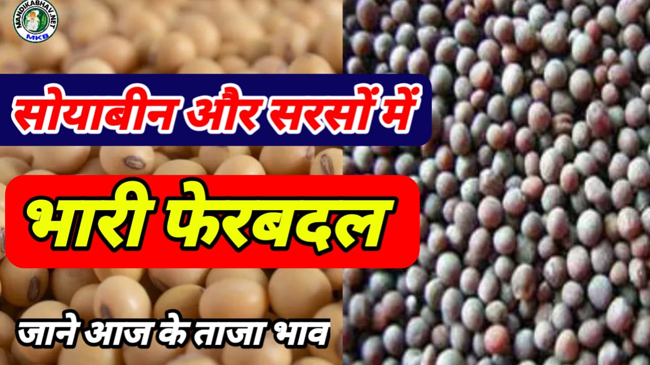 Soyabean Commodities Price