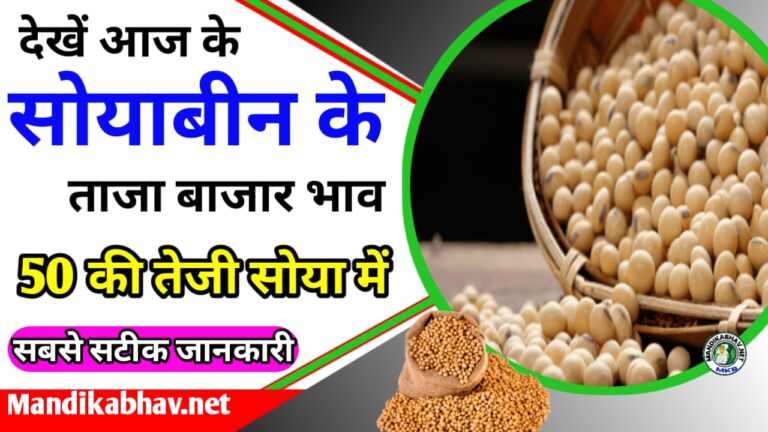 Soyabean Commodity Price