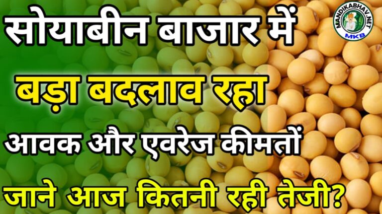 Soyabean Commodity trand in india Today