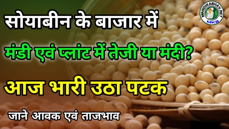 Soyabean Ka Bhav