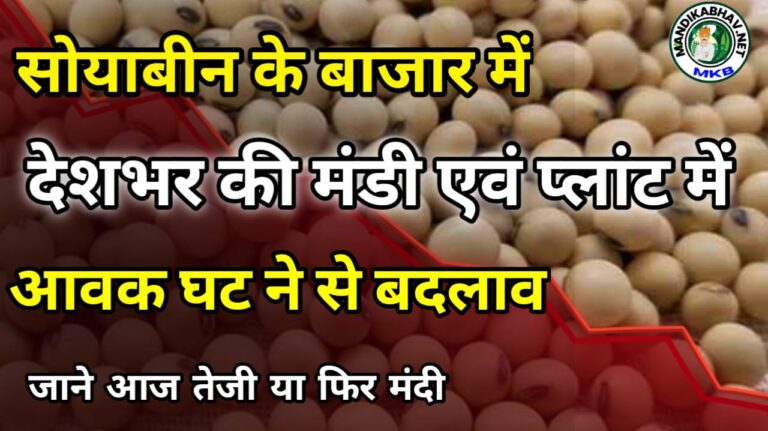 Soyabean Ka Bhav आज सोयाबीन में कितना तेज है बाजार !
