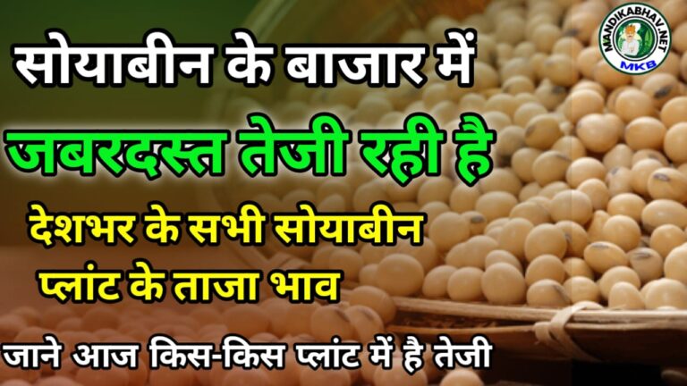 Soyabean Plant ka Bhav