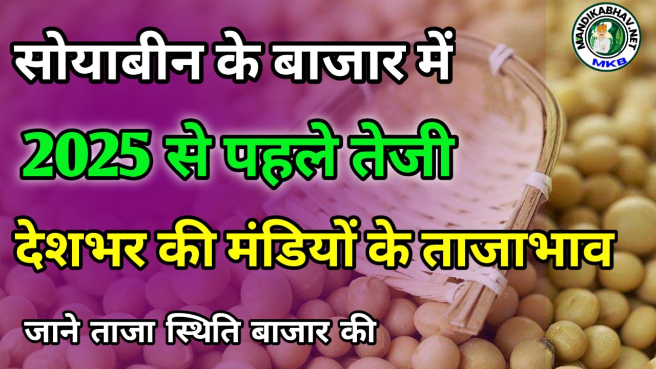 Soyabean Price