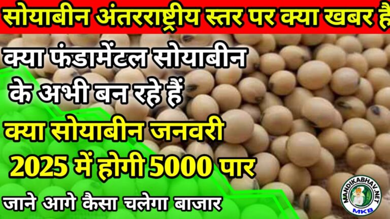 Soyabean Price 2025