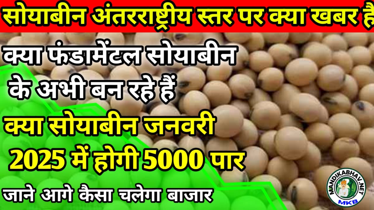 Soyabean Price 2025