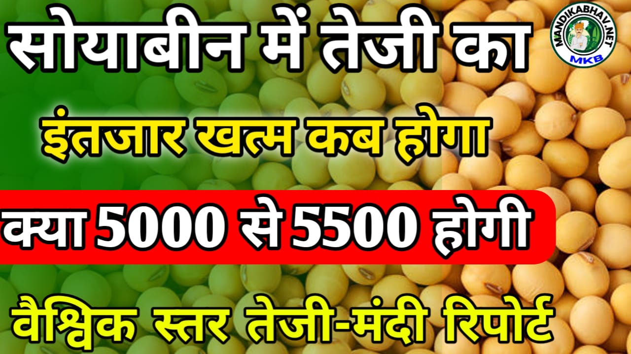 Soyabean Report Today