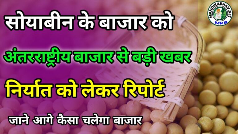 Soyabean USDA Export Inport Commodity News