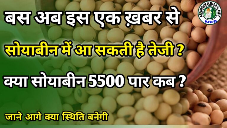 Soyabin Big News सोयाबीन से जुड़ी खबर जो करेगी सोयाबीन 5000 पार!