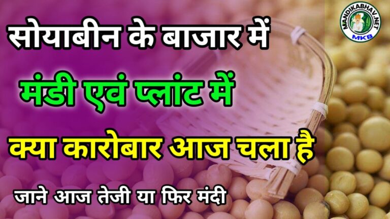 Soyabin Ke Taja Bhav