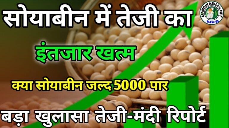 Soyabin Report सोयाबीन में तेजी कब आएगी जाने !