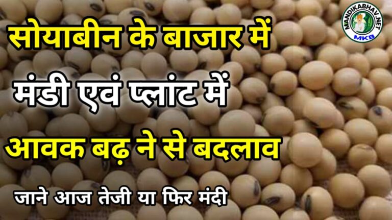 Soyabin ka Bhav   आज कहां-कहां सोयाबीन हुई तेज !