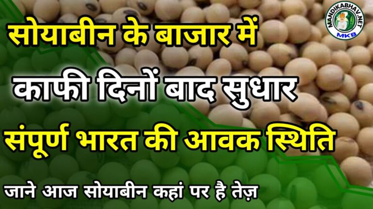 Soyabin ka Taja Bhav आज सोयाबीन बाजार में कितना उतार चढ़ाव !
