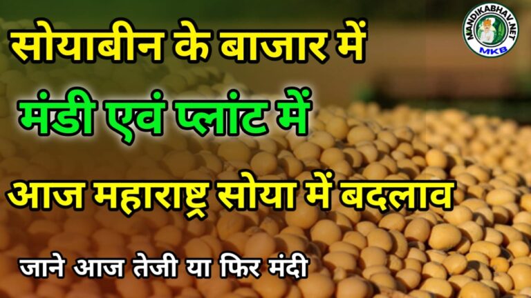 Soyabin ka bhav सोयाबीन आवक और कीमतें बदलाव आज क्या खुला !