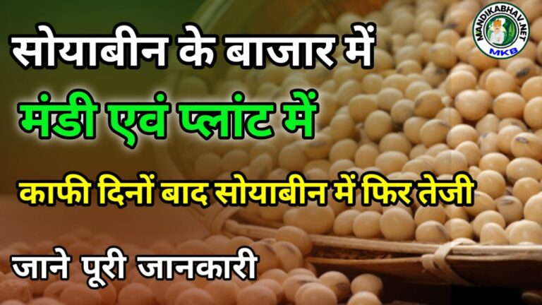 Soyabin ka bhav सोयाबीन में दिन की शुरुआत तेजी के साथ !