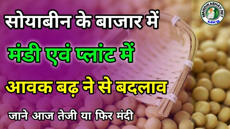 Soyabin ka bhav सोयाबीन में दिन की शुरुआत तेजी के साथ !