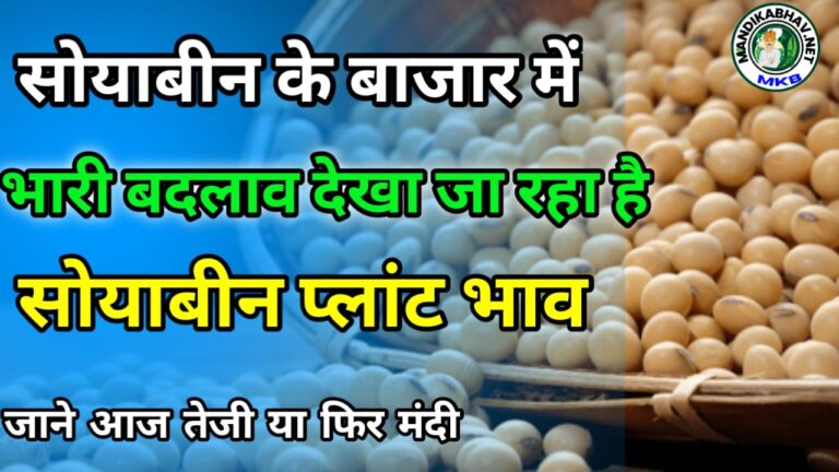Soyabin ka taja bhav मंडी देखें आज कहां कितना तेज है सोयाबीन भाव !