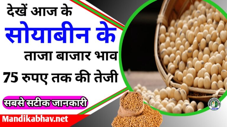 Soybean Mandi price today
