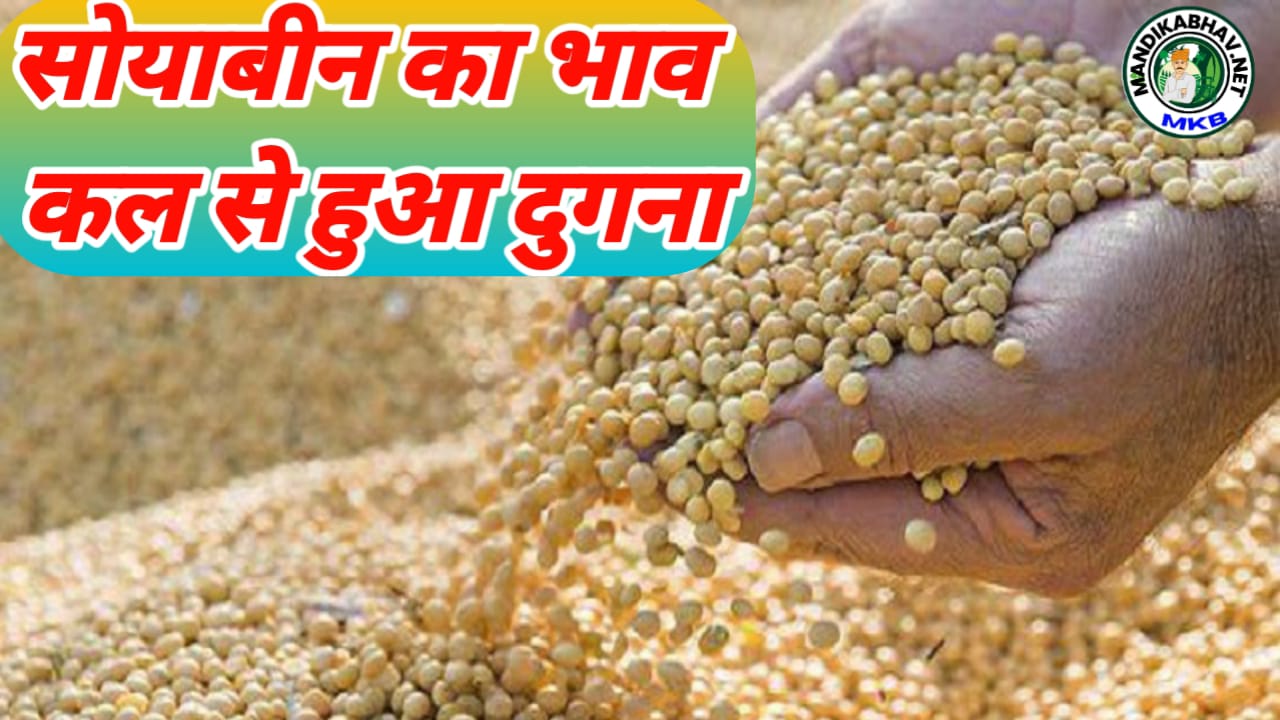 Soybean Rate