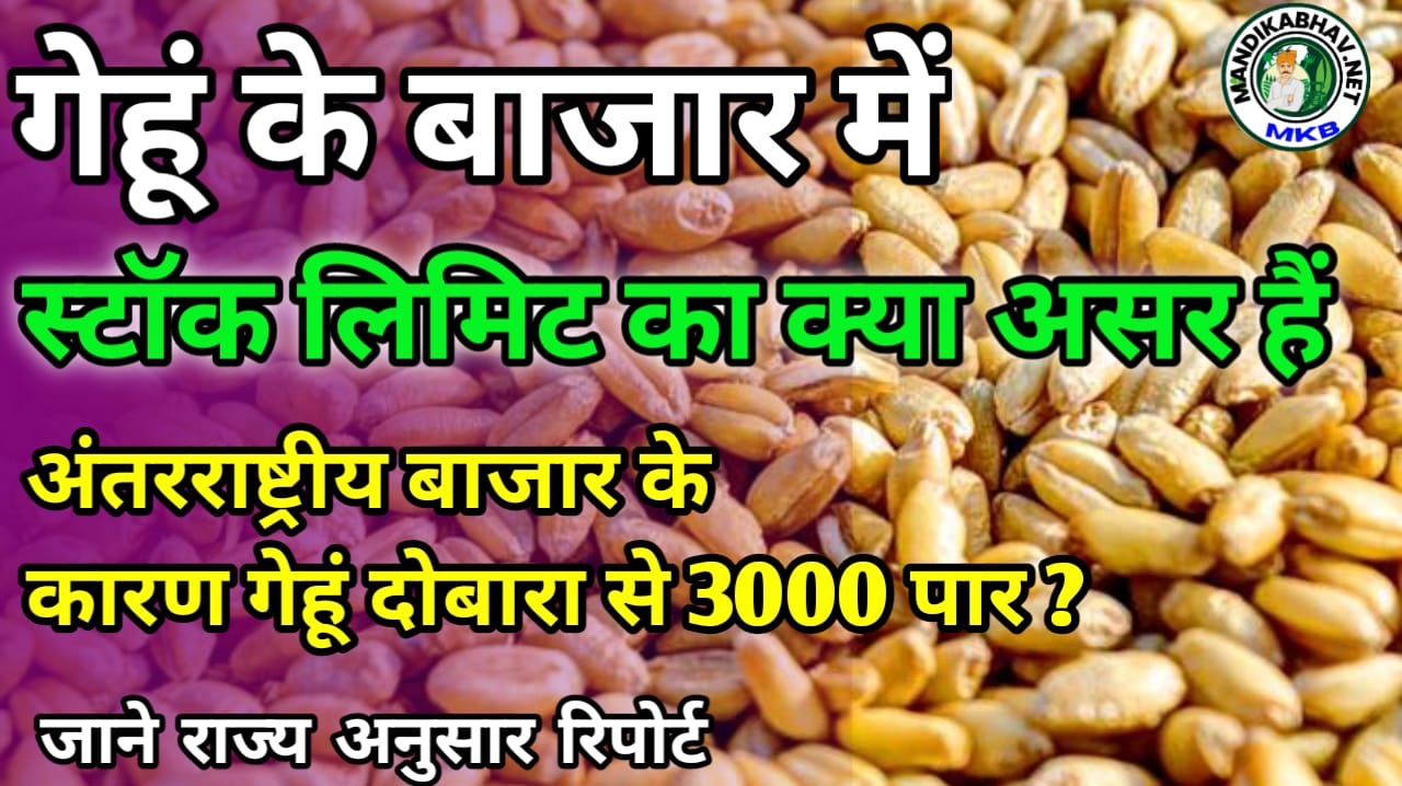 Wheat price today