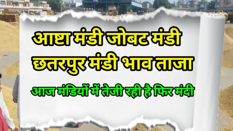 aashta jobat and chhatarpura mandi rate जाने तीनों मंडी में आज कैसा रहा बाजार !