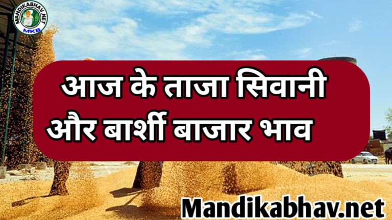 sivani and solapur mandi update Today सिवानी और मंडी में कितनी तेजी आज बनी जाने !