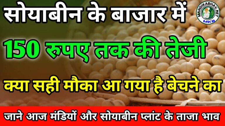 soyabean mandi price