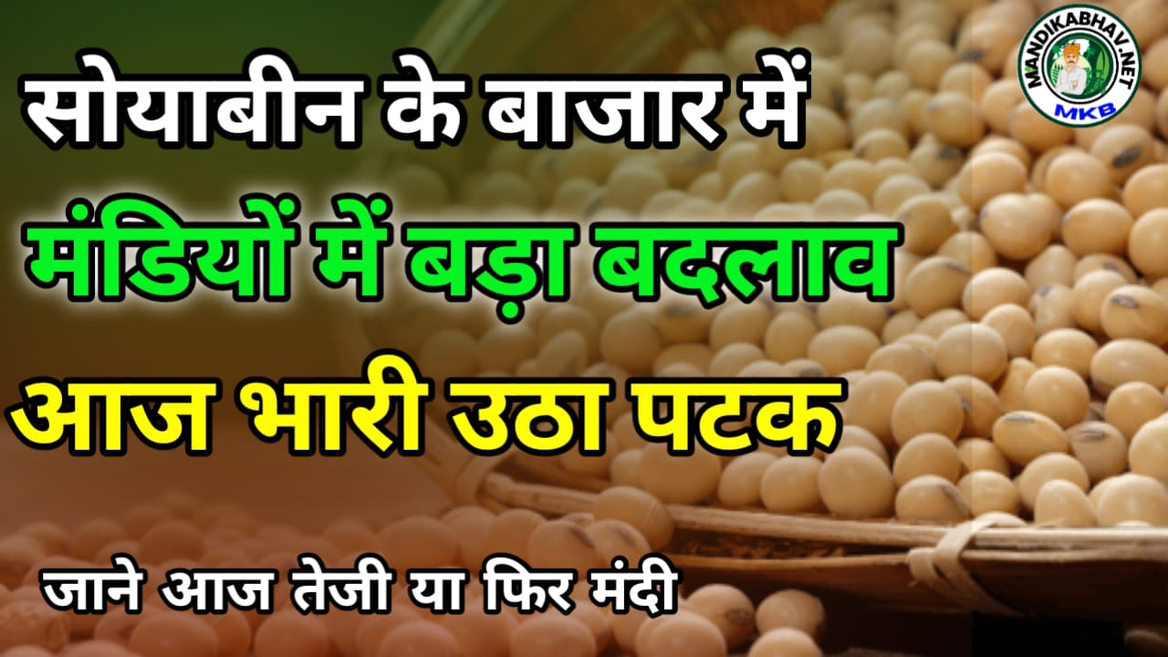 soyabean mandi rate today आज किस मंडी में तेज रही सोयाबीन जाने !