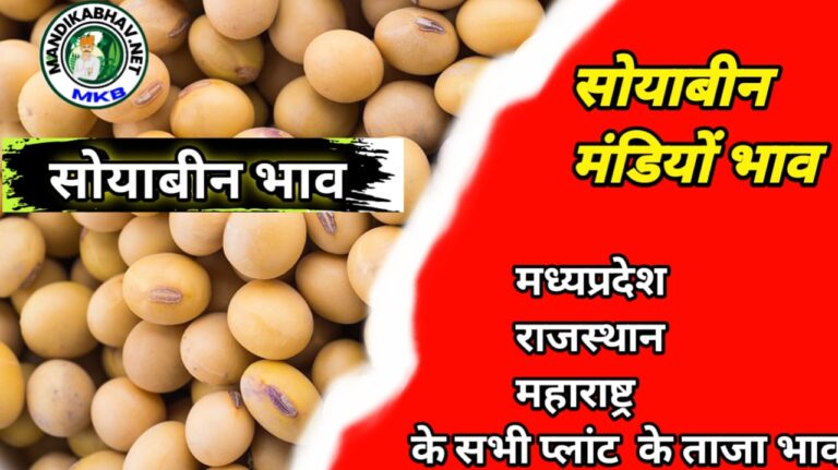 {today} soyabean ka bhav सप्ताह के पहले दिन सोयाबीन का बड़ा बदलाव जाने आज की स्थिति !
