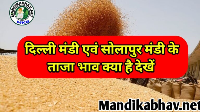 दिल्ली एवं सोलापुर मंडी के ताजा भाव  जान आज दिल्ली और सोलापुर मंडी में क्या रहा माहौल !
