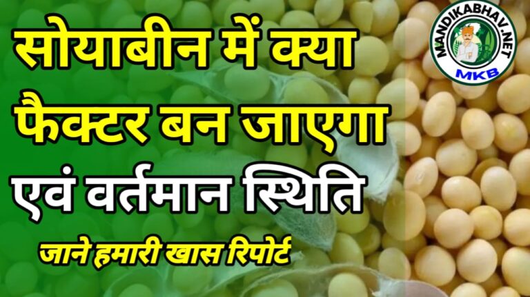 सोयाबीन और सोया तेल बाजार रिपोर्ट soyabean and oil report today