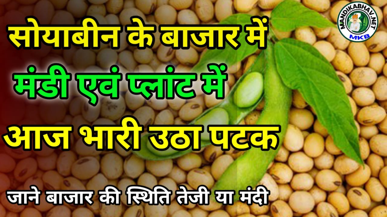 सोयाबीन का ताजा मंडी भाव soyabin ka Bhav